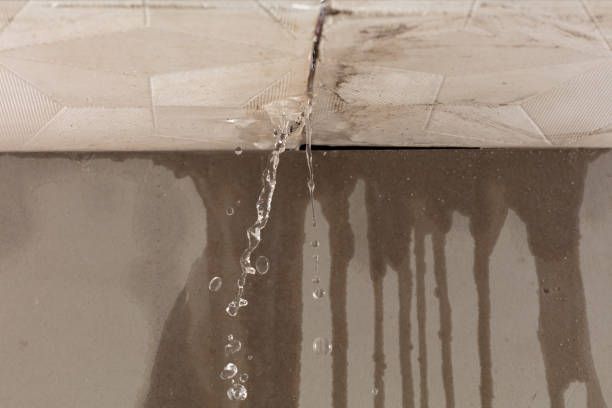 Professional Burst Pipe Cleanup technician working in Gonzales, LA